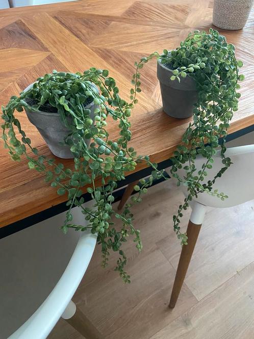 Twee hangplantjes antraciet stenen potje, Huis en Inrichting, Woonaccessoires | Kunstplanten en Kunstbloemen, Zo goed als nieuw