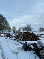 (Deel)vrachten: Brandhout Stamhout Kachelhout Boomstammen., Tuin en Terras, Haardhout, 6 m³ of meer, Ophalen, Stammen