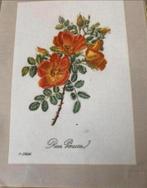 BORDUURPATROON THEA GOUVERNEUR ROSE PORCEAU, Hobby en Vrije tijd, Borduren en Borduurmachines, Verzenden, Nieuw, Handborduren