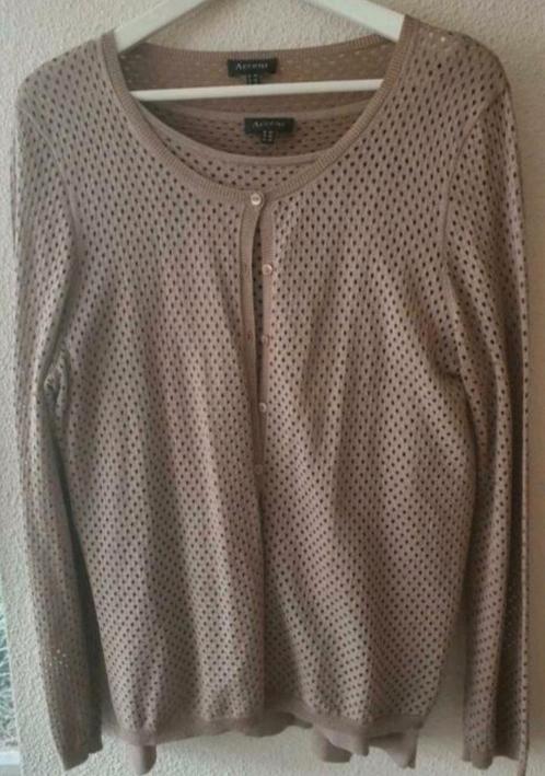 Accent twinset., Kleding | Dames, Truien en Vesten, Nieuw, Maat 42/44 (L), Bruin, Verzenden