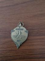 041 Oude Brinkentocht FEXT medaille/speld, Ophalen of Verzenden