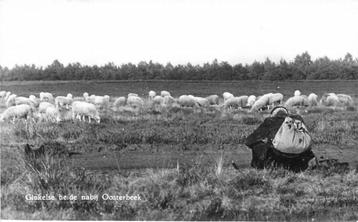 (387-073-049) Oosterbeek Ginkelse Heide beschikbaar voor biedingen