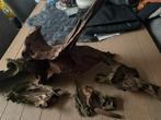 Flink wat aquarium hout, Dieren en Toebehoren, Ophalen, Gebruikt, Plant(en), Steen of Hout