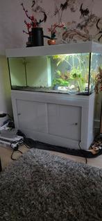 Maatwerk aquarium, Dieren en Toebehoren, Vissen | Aquaria en Toebehoren, Ophalen, Nieuw