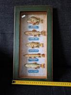 Kleine vissenschilderij Vissen accessoires decoratie nieuw, Huis en Inrichting, Ophalen, Nieuw, Hout