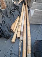 Bamboepalen, Ophalen of Verzenden, Minder dan 180 cm, Palen