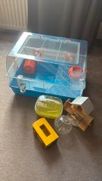 Alles met toebehoren voor een hamster, Dieren en Toebehoren, Minder dan 60 cm, Kooi, Minder dan 75 cm, Ophalen of Verzenden