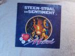 NORMAAL : steen - stoal en sentiment, Verzenden, Zo goed als nieuw, 12 inch