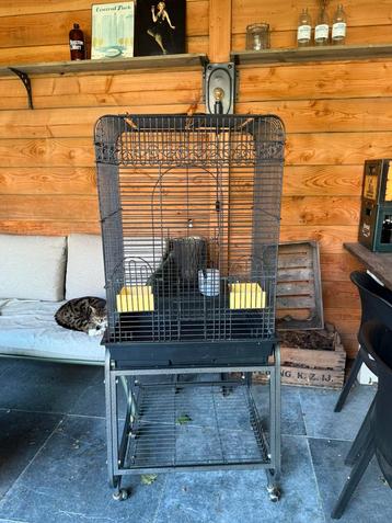 Grote zwarte vogelkooi beschikbaar voor biedingen