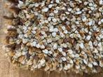 Hoogpolig Tapijt - Groen, Geel, beige, bruin - 150x200cm, Ophalen, Gebruikt, Wit, 150 tot 200 cm