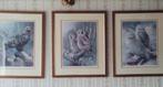 Set van 4 ingelijste vogelprenten, Ophalen of Verzenden