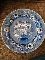 Tea drinker: Doorsnee 20 cm, Ophalen