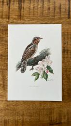 Draaihals vogel print, Ophalen of Verzenden