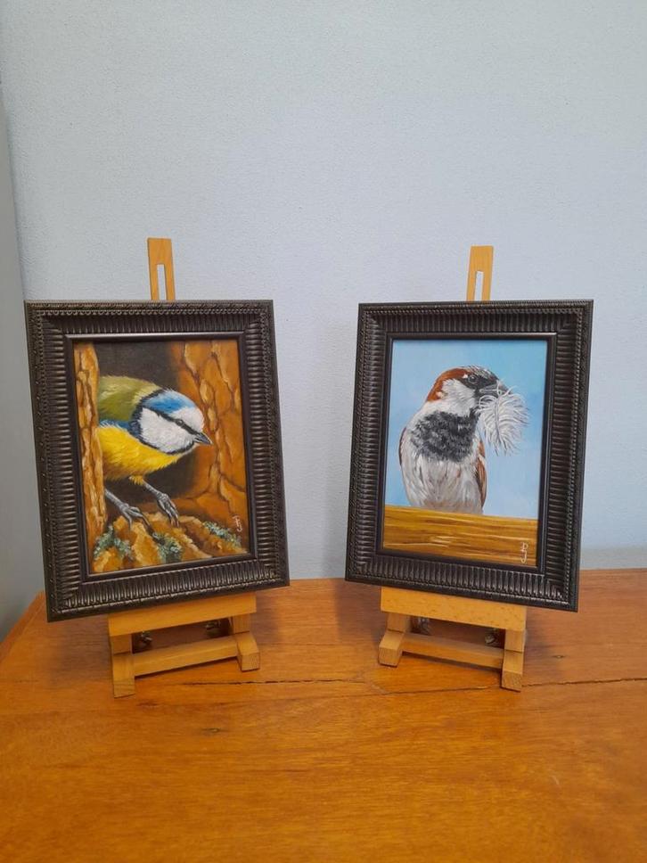 Schilderij mus  & pimpelmees 2 st €65 - origineel cadeau, Antiek en Kunst, Kunst | Schilderijen | Modern, Ophalen of Verzenden