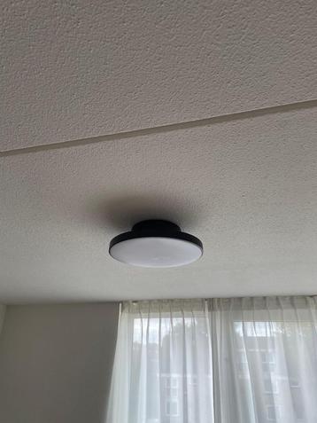 Plafondlamp beschikbaar voor biedingen