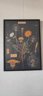 Poster Desenio dandelion incl zwarte lijst, Huis en Inrichting, Woonaccessoires | Schilderijen, Tekeningen en Foto's, Ophalen