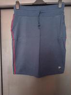 Rokje Tante Betsy maat L, Blauw, Maat 42/44 (L), Ophalen of Verzenden, Zo goed als nieuw