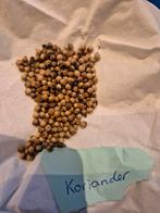 Bio Koriander Zaden 10 stuks € 0,50, Ophalen of Verzenden, Gehele jaar, Volle zon, Zaad