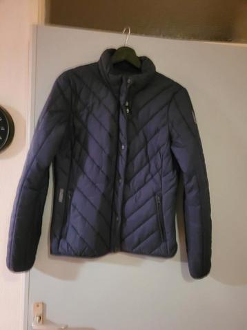 Weinig gedragen 'tussen' jas gaastra maat s(valt klein) beschikbaar voor biedingen