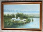 Schilderij van Frank van den Burg, natuur met zwanen, Ophalen
