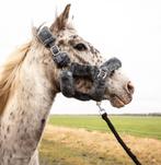 Fluffy halster grijs in de maten Pony, Cob en Full, Ophalen of Verzenden, Nieuw, Overige soorten