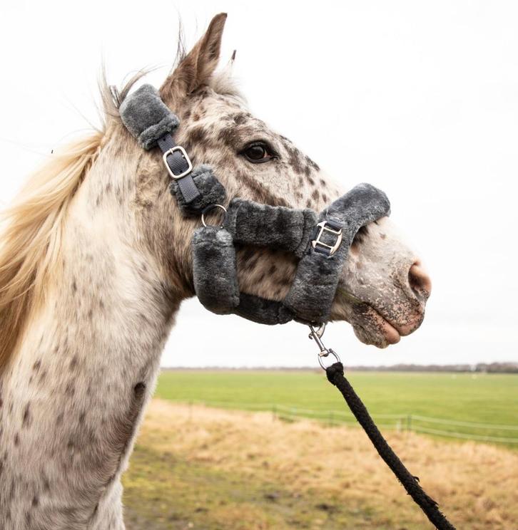 Fluffy halster grijs in de maten Pony, Cob en Full, Dieren en Toebehoren, Paarden en Pony's | Hoofdstellen en Tuigage, Nieuw, Overige soorten