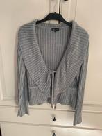 Didi vest L, Kleding | Dames, Verzenden, Nieuw, Maat 42/44 (L), Grijs