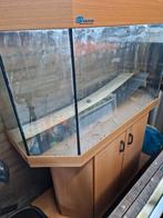 Aquarium, Dieren en Toebehoren, Ophalen, Gebruikt, Leeg aquarium