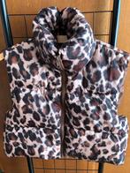 Bodywarmer in panterprint, Ophalen of Verzenden, Nieuw, Maat 36 (S), Bruin