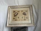 Vintage lijst met hoedenprent – klassieke decoratie, Ophalen, Minder dan 50 cm, Gebruikt, Minder dan 50 cm