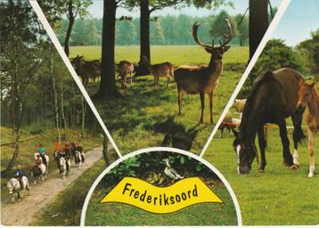 FREDERIKSOORD Ruiters Herten Paarden  beschikbaar voor biedingen