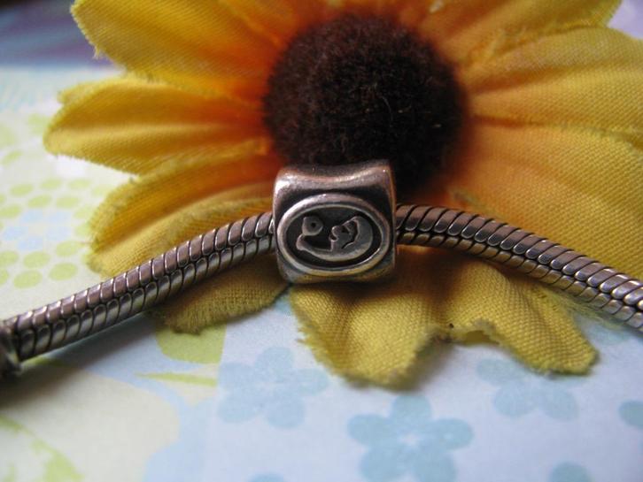 Kleine bedel = kleine prijs * sterrenbeeld MAAGD * past op.., Sieraden, Tassen en Uiterlijk, Bedels, Zo goed als nieuw, Overige merken