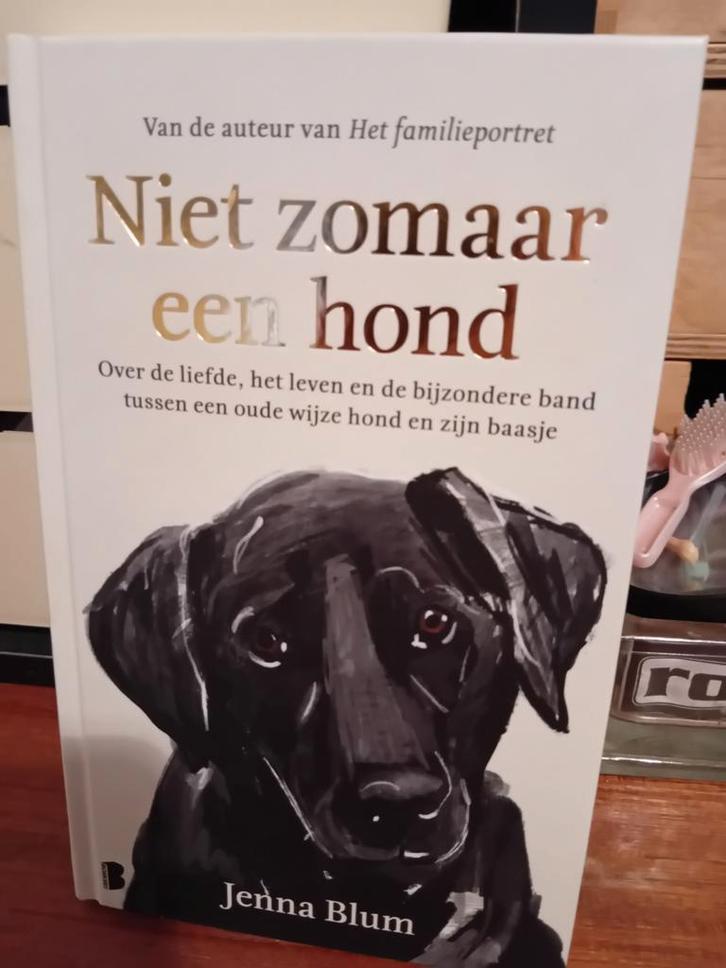 Jenna Blum - Niet zomaar een hond, Boeken, Overige Boeken, Zo goed als nieuw, Verzenden