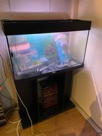 Aquarium juwel 110 liter, Dieren en Toebehoren, Ophalen, Gebruikt, Verlichting of Verwarming