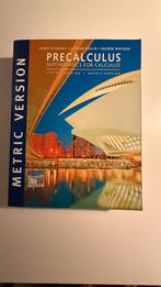 Precalcalculus mathematics for calculus, Ophalen of Verzenden, Zo goed als nieuw