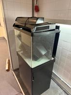 Aquarium gratis af te halen, Dieren en Toebehoren, Vissen | Aquaria en Toebehoren, Ophalen, Gebruikt, Leeg aquarium