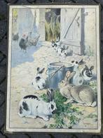 Konijnen, Antiek en Kunst, Antiek | Schoolplaten, Ophalen of Verzenden, Natuur en Biologie