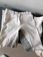 Witte rijbroek 1 keer gedragen maat 38 pfiff, Ophalen of Verzenden, Zo goed als nieuw, Dressuur, Onderkleding