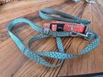Hondenriem met halsband maat S, Ophalen of Verzenden, Zo goed als nieuw