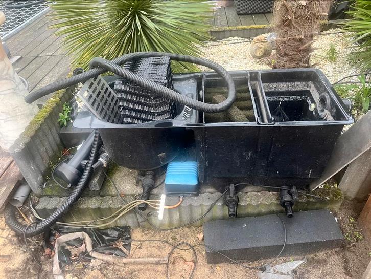 Koi’s - vijverfilter - uv lamp - rooster - luchtpomp, Tuin en Terras, Vijvers, Gebruikt, Ophalen