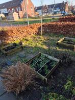 Moestuinbak 3 stuks, Ophalen