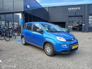 Fiat Panda 1.0 Hybrid City METALLIC LAK+RIJKLAAR! beschikbaar voor biedingen