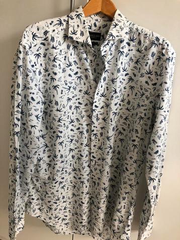 Cavallaro Napoli overhemd mt XL (43) beschikbaar voor biedingen