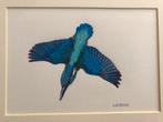 IJsvogel in duikvlucht, fraaie tekening in houten lijst, Ophalen