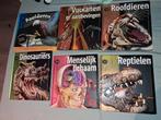 In Siders boeken, Ophalen of Verzenden, Zo goed als nieuw