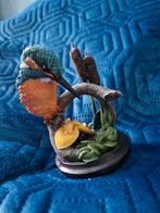 Ijsvogel, Ophalen, Nieuw