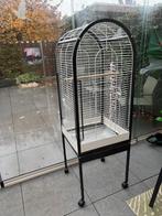 Grote vogelkooi/papagaaienkooi, Dieren en Toebehoren, Vogels | Hokken en Kooien, Ophalen, Zo goed als nieuw, Metaal, Vogelkooi