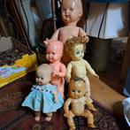 Wildebras pop, Verzamelen, Ophalen of Verzenden, Pop