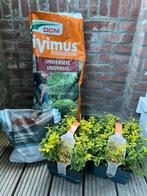 2 nieuwe buitenplanten met 20lb tuinaarde, Ophalen
