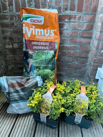 2 nieuwe buitenplanten met 20lb tuinaarde beschikbaar voor biedingen